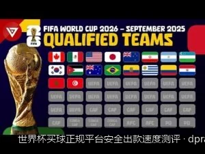 新手防坑必看：世界杯买球平台安全出款流程与常见提现问题排查指南